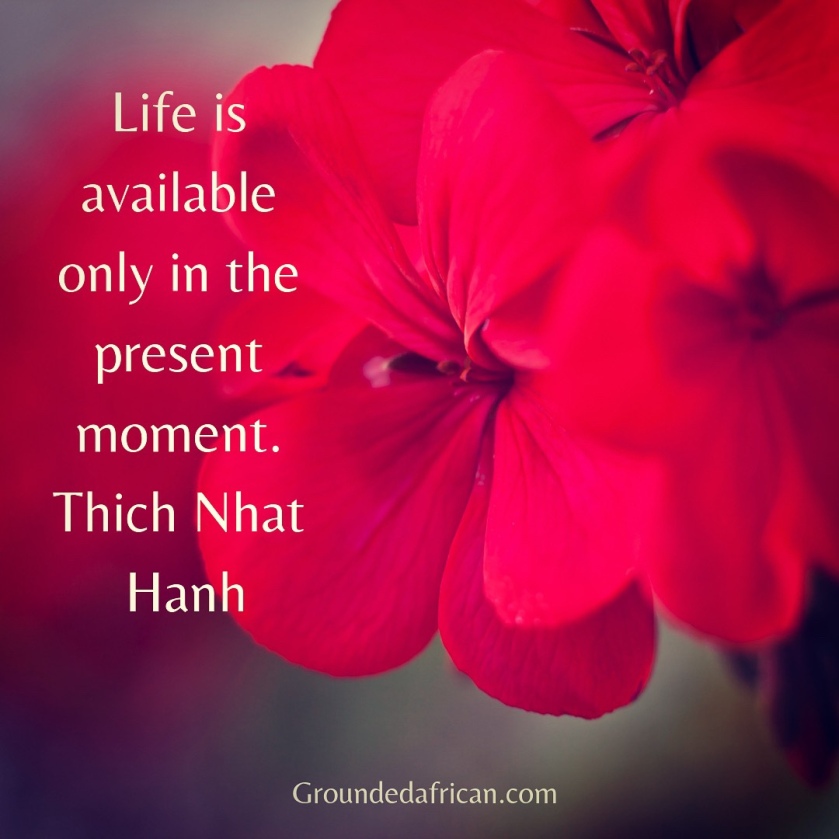 Red flower. Quote by Thich Nhat Hanh